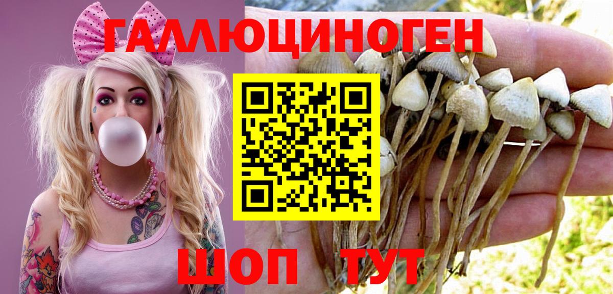 Галлюциногенные грибы мицелий Биробиджан