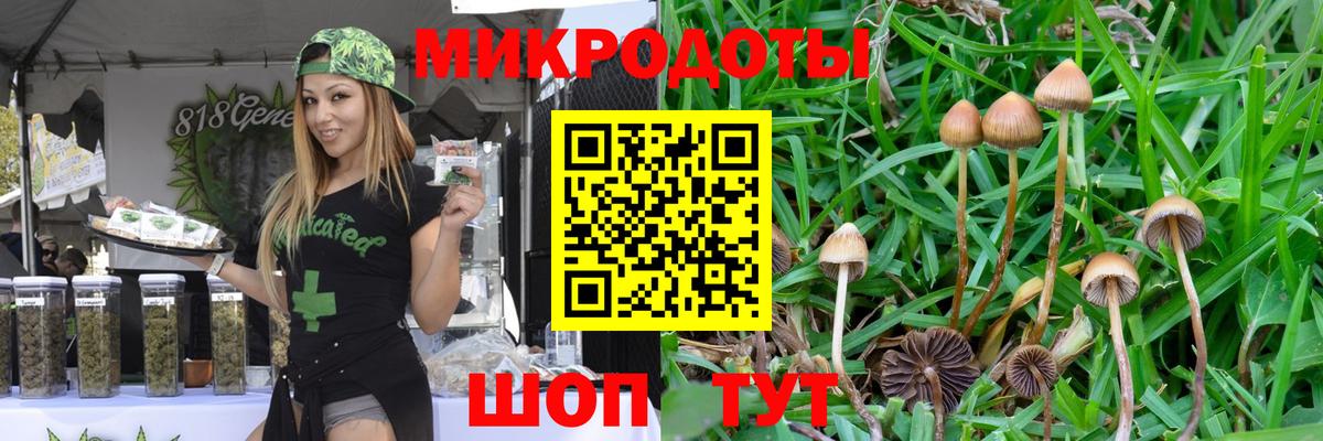 Биробиджан  Галлюциногенные грибы мухоморы  Галлюциногенные грибы прущие грибы  Вход с VPN 